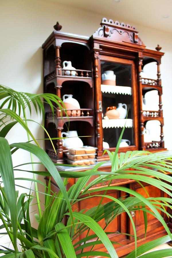 Posada Ignatius Navarrete Extérieur photo